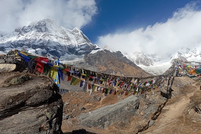 10 Days Annapurna Base Camp Trekking - Trekking Permits and Services