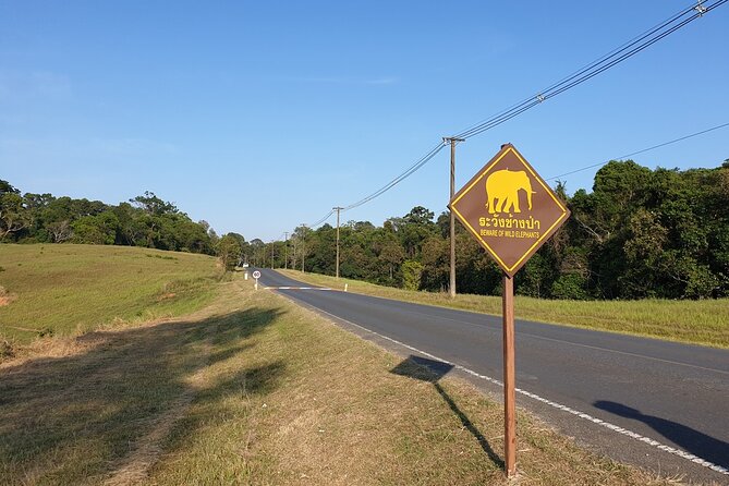 10 Hours Private Hiking in Khao Yai National Park From Bangkok - Inclusions and Amenities Provided