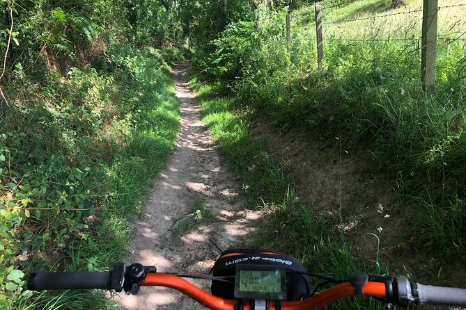 100% Emotion and Tasting" Ride on an All-Terrain Electric Scooter - Unique Tasting Experience