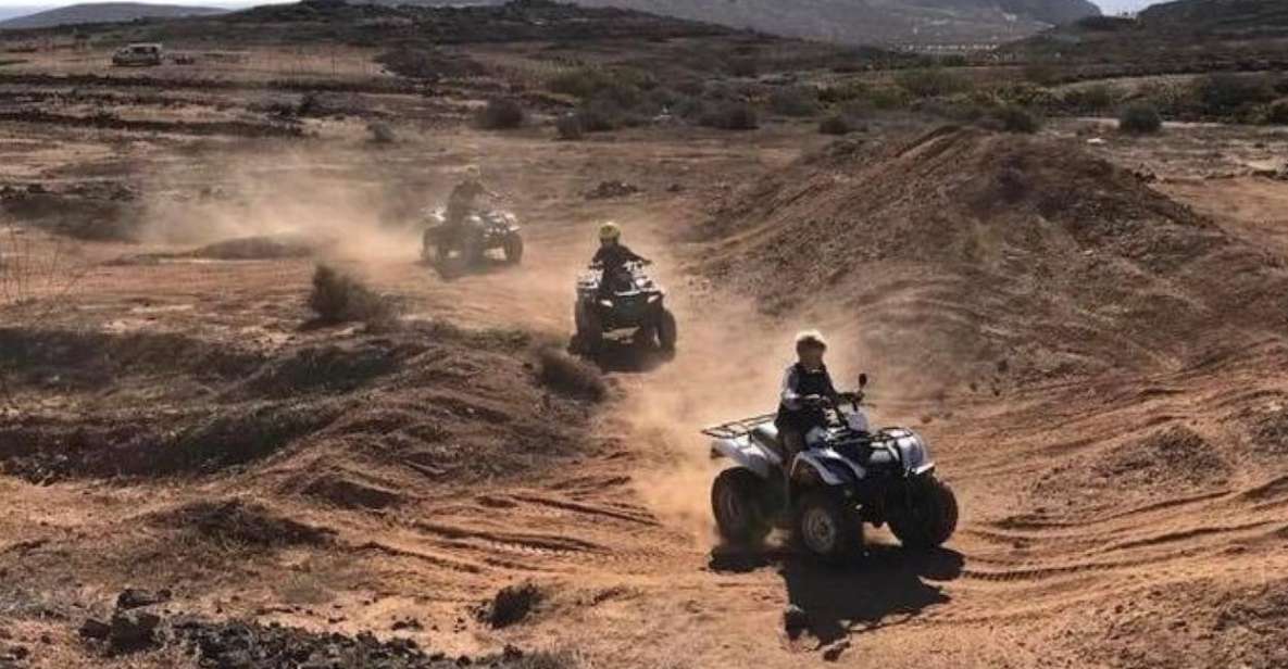 100% Pure Off-Road Quad Safari Experience - Language Options and Pickup Service