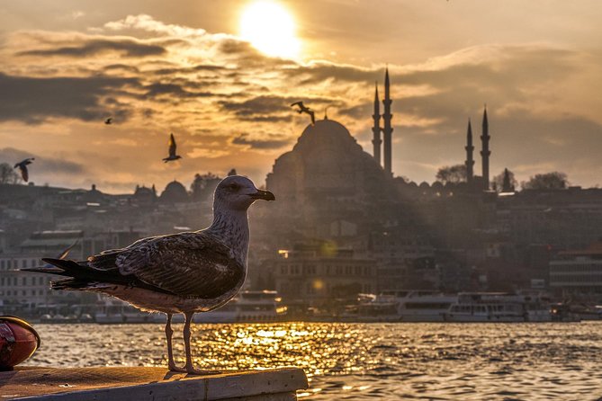 11 Days Special Turkey Tour - Istanbul Exploration Day
