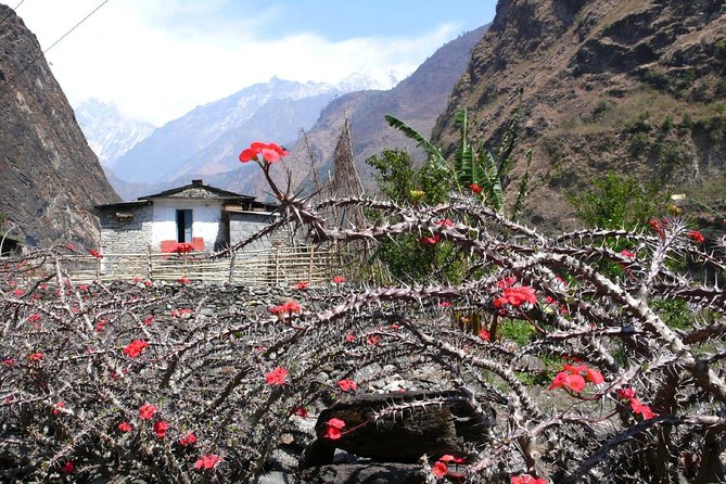 12 Days Annapurna Panorama & Tatopani Trek - Itinerary Overview