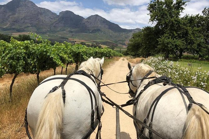 1h30m – Wine Tasting Carriage Trail - Reservation Process