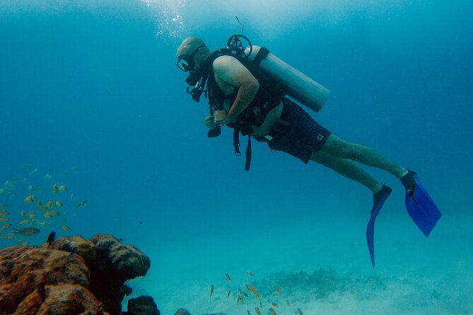 1st Life Experience Scuba Diving in Cancun FREE Photos/Videos - Inclusions