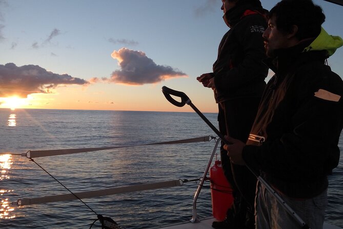 2.5h Sunset Navigation With Azorean Appetizers and Wine - Sunset Navigation Experience