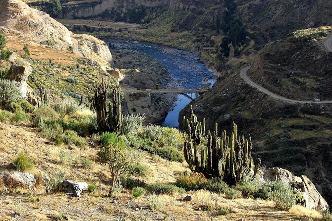 2 Day - Colca Canyon and Condor Tour From Arequipa, Peru - Group Service - Included Services