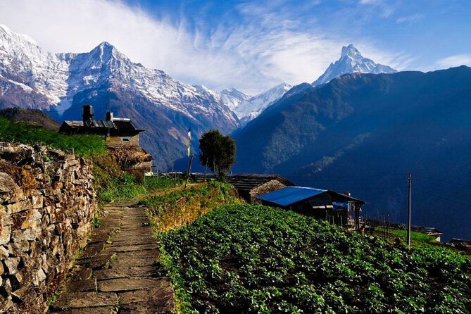 2 Day Private Panchase Trek Tour From Pokhara - Support and Information