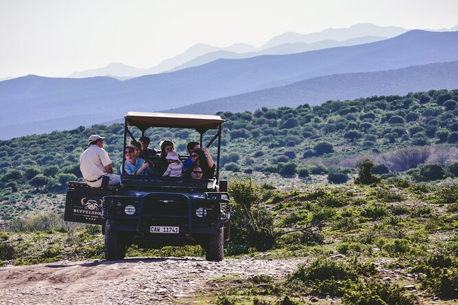 2 Day Small Group Garden Route Big 5 Safari Tour From Cape Town - Itinerary Highlights