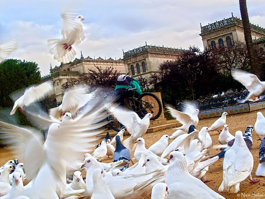 2-Hour Seville Panoramic Walking Tour - Full Description of the Walking Tour