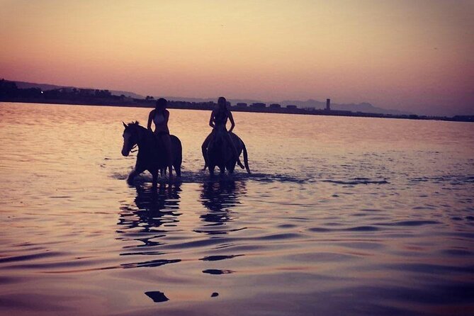 2 Hours Horse Riding on the Sea and Desert- Hurghada - Experience Details