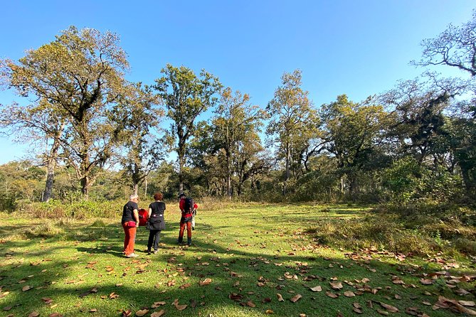 2 Hours Nature Walk in Chitwan National Park - Guided Nature Walk Experience