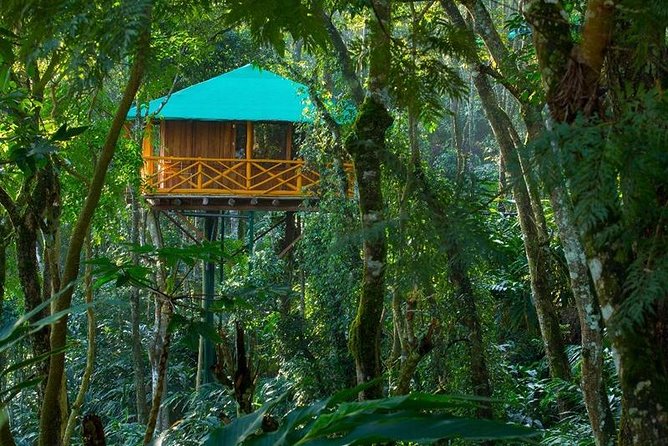 2 Nights Munnar Treehouse Escape With Private Car- Iris Holidays - Inclusions and Services