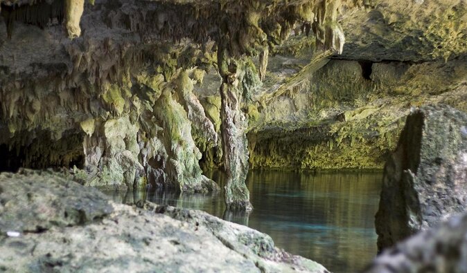 2-Tank Cenote Certified Dive in Tulum - Inclusions and Restrictions