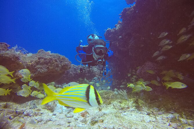 2 Tanks Scuba Diving in Punta Cancun Reefs for Certified Divers - Logistics and Meeting Point