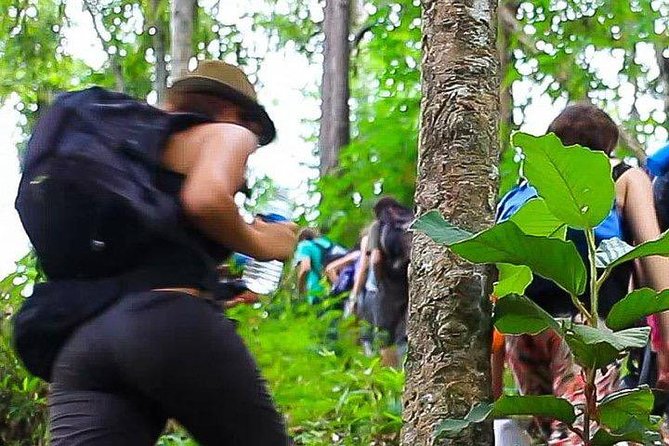 2D1N Mae Wang National Park Jungle Trekking Adventure From Chiang Mai - Pickup Details and Surcharge Information