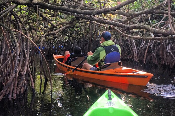 2Hour Everglades Kayak Safari Adventure Through Mangrove Tunnels - Kayaking Route