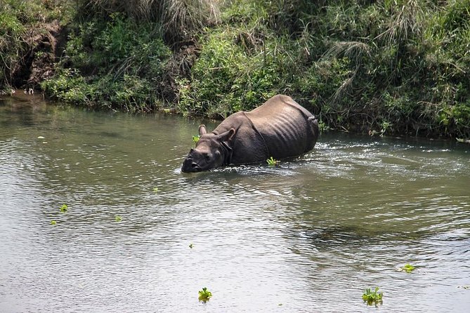 3 Day Chitwan Jungle Exploration Tour From Pokhara - Cultural Experiences