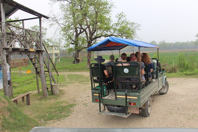 3-Day Chitwan National Park Jungle Safari Tour Package With Pick up - Accommodation Options