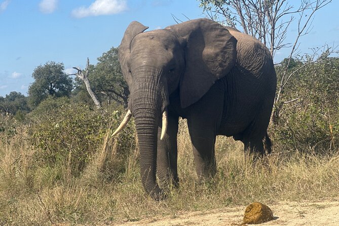 3 Day Kruger National Park End With Panaroma - Day 2: Panorama Route Exploration