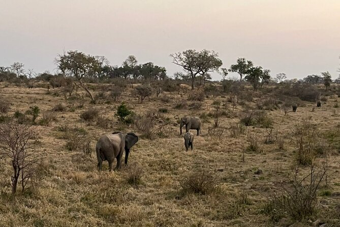 3-Day Kruger National Park Safari From Johannesburg - Destination Highlights