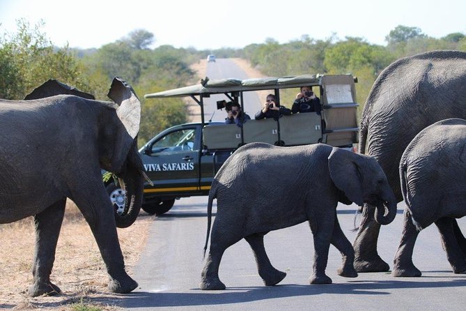 3 Day Lodge/Treehouse Kruger National Park Safari - Customer Reviews and Ratings