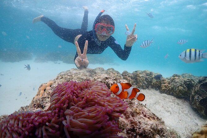 3 Day Trung Over Night on Amazing Emerald Cave and Snorkeling at 7 Color Coral - Last Words