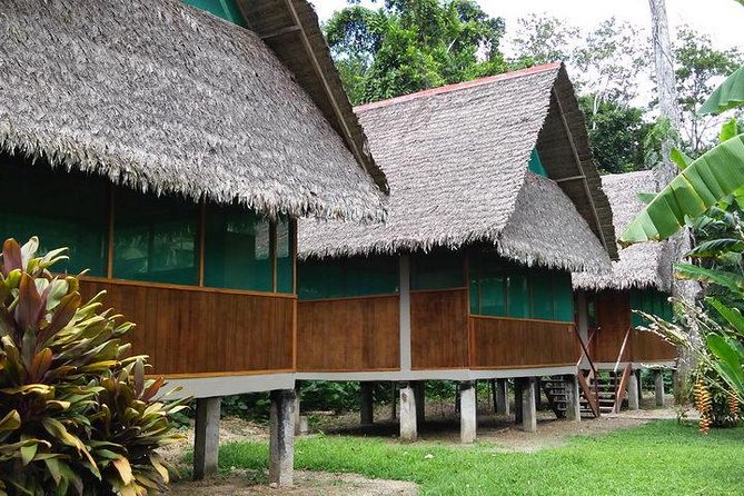 3 Days 2 Nights - Tambopata Jungle - Pricing, Booking, and Terms