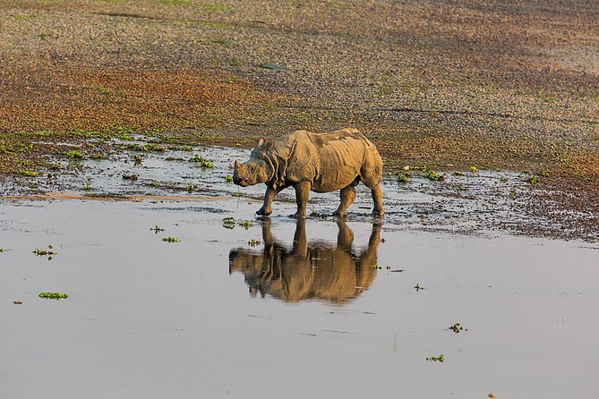 3-Days Chitwan National Park Tour From Kathmandu by Private Vehicle - Tour Overview and Inclusions