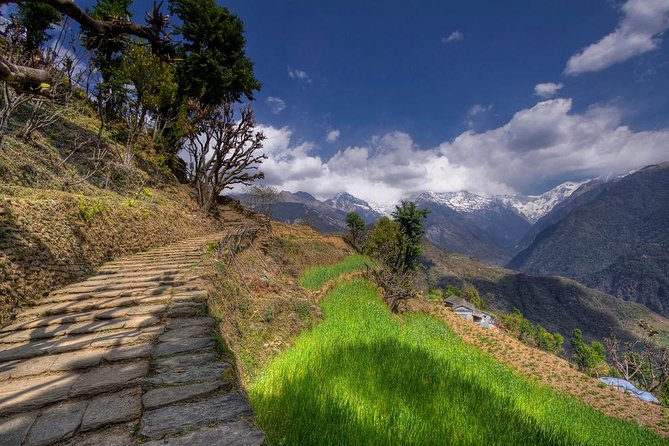 3 Days Short Trek to Ghandruk - Asia'S Most Picturesque Town - Accommodation at Ghandruk Village Eco Lodge