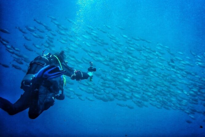 3-Hour Try Scuba Private Guided Sea Baptism From Palermo - Cancellation Policy