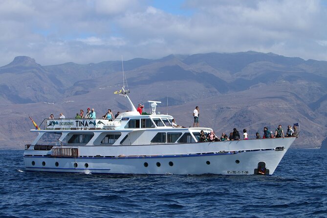 3 Hours Boat Excursion for Whale Watching in La Gomera - Last Words