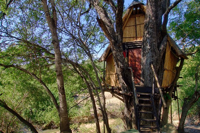 4 Day Lodge and Treehouse Kruger National Park Safari - Accommodation Information