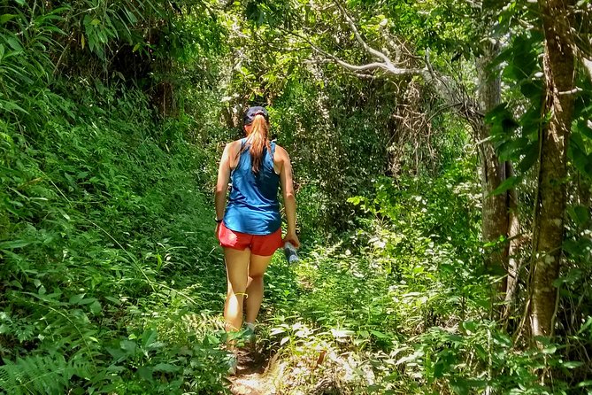 4-Day Sierra Nevada Jungle Trek With Farm House Accommodation  - Santa Marta - Transparent Pricing Information