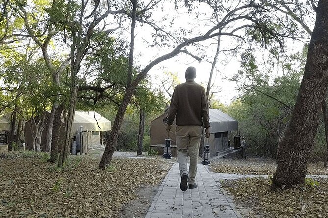 4 Day Ultra Budget Kruger National Park Safari From Johannesburg - Wildlife Sightings