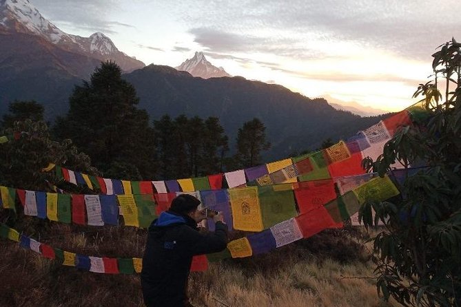 4 Days Annapurna Poonhill Trekking From Pokhara, Nepal - Traveler Reviews
