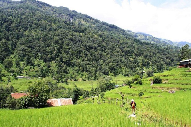 4 Days Nepal Yoga and Trekking Retreat for Women - Accommodation Options