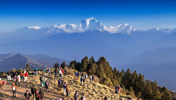 4 Days Poonhill Trek From Pokhara To Pokhara - Accommodation and Meals