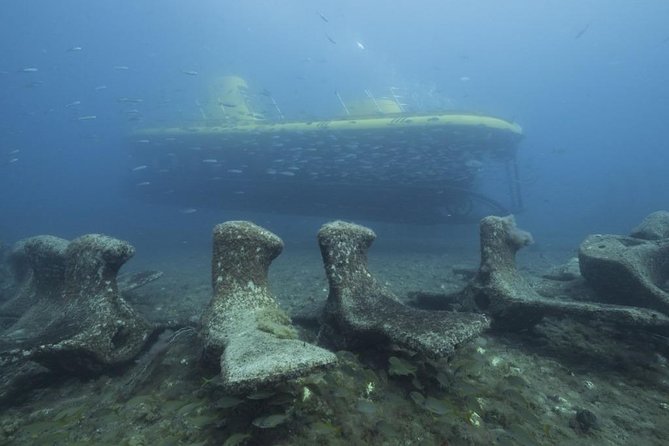 4 Diving Sites Scuba Diving Package in Gran Canaria - Equipment and Gear Provided