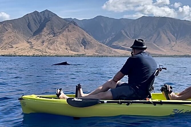 4 Hour Private Custom Kayak Tour Lahaina - Meeting and Pickup Details