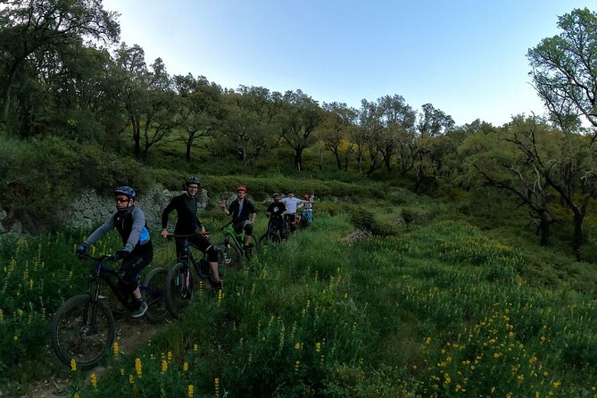 4 Hour Private MTB Enduro Trail Tour in Sintra Mountain - Tour Details and Requirements