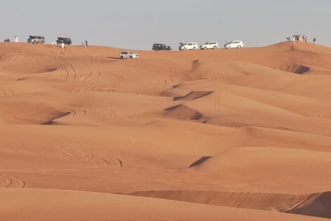 4 Hours Morning Desert Safari in Dubai - Activities Included in the Safari