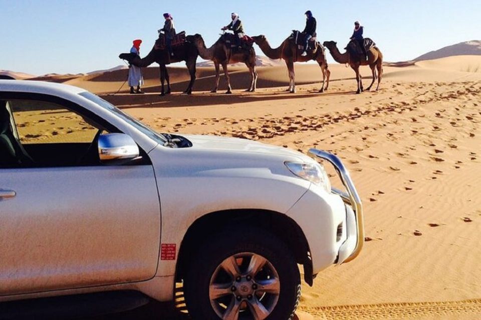 44 Jeep Sahara Desert Tour With Lunch & Hotel Transfers - Highlights and Vehicle Information
