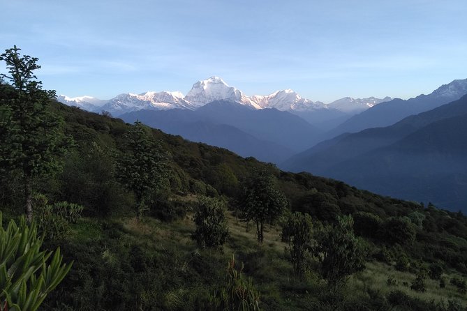 4Nights 5Days PoonHill Trek - Inclusions and Exclusions