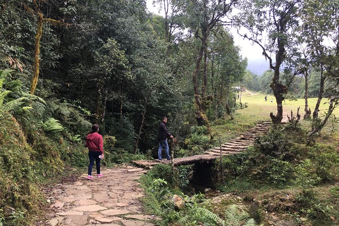 4WD Drive to Dhampus and Easy Hiking to Australian Camp From Pokhara - Relaxing Break at Dhampus Village