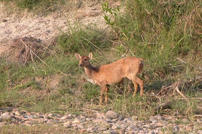 5 Days Bardia National Park Tour With Palpa Overnight Stay - Palpa Overnight Experience