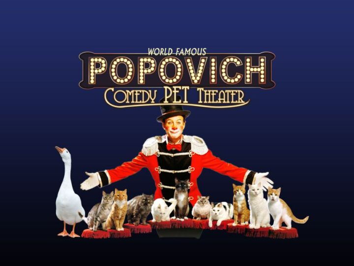 75-Minute Popovich Comedy Pet Theater in Las Vegas - Ticket Information