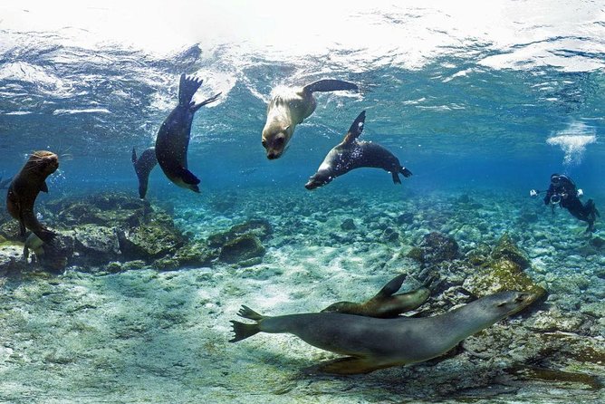 8-day Galapagos on a Budget: 3 Islands Experience - Must-Do Activities