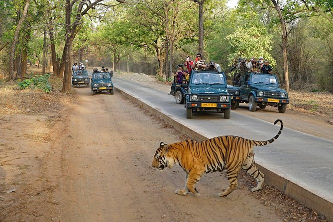 8 Day Golden Triangle Tour With Ranthambore{Taj,Tigers & More} - Pricing and Inclusions