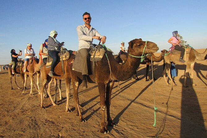 8-Day Tour Morocco, the Great Desert From Costa Del Sol - Accommodations and Meals