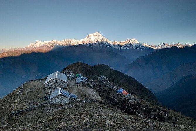 8 Days Private Pokhara Trekking to Khopra Hill - Price and Terms
